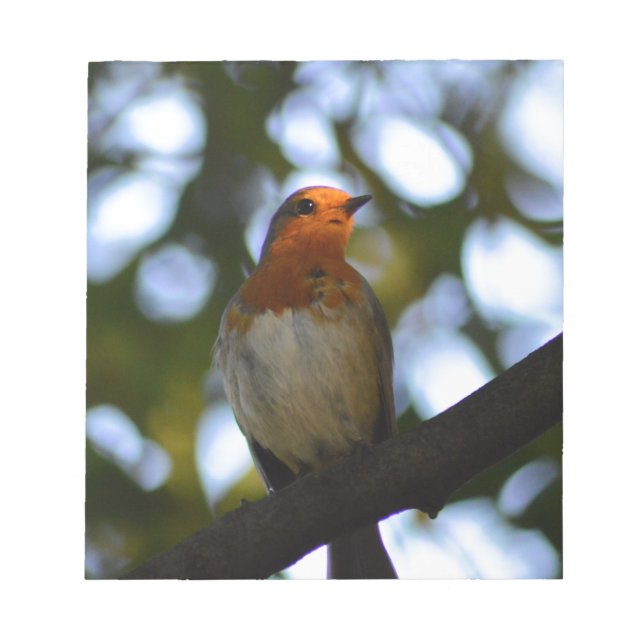 Robin Anteckningsblock (Framsida)