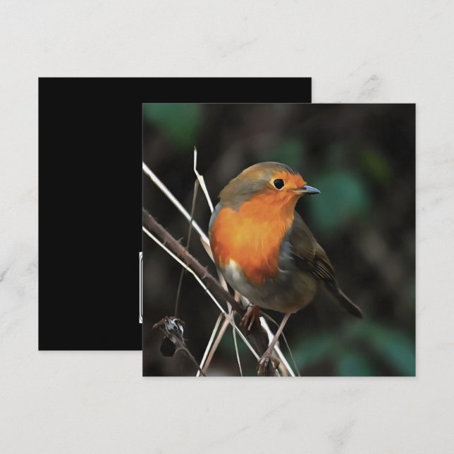 Robin är Bright på en daglig akrylisk konst Inbjudningar (Fram/baksida)