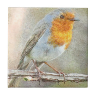 Robin är en Gabriel Watercolor Kakelplatta