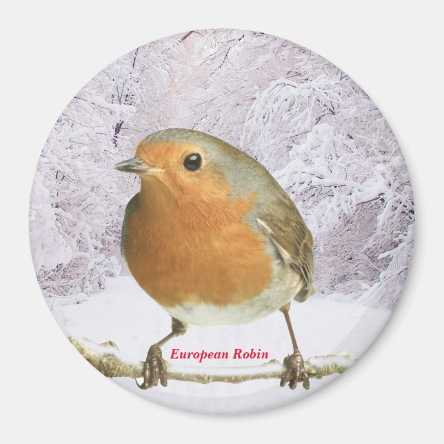 Robin-avbildning för Stor Round Magnet (Framsidan)
