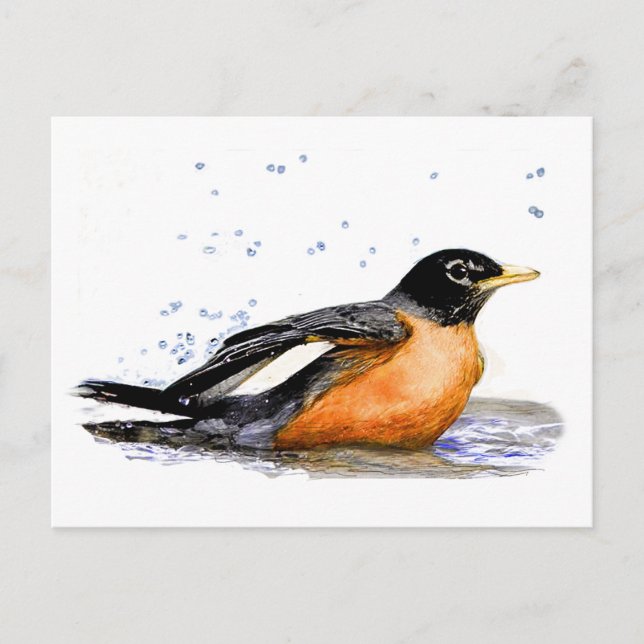 Robin Bathing Vykort (Framsida)