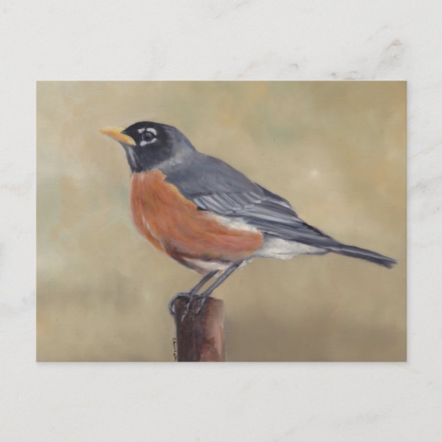 Robin Bird Art Postcard Vykort (Framsida)