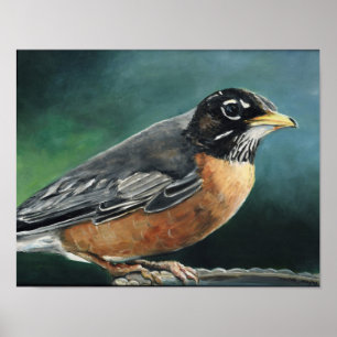 Robin Bird Art Print Poster