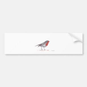 Robin bird bildekal