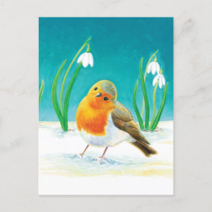 Robin Bird - Erithacus rubecula Helg Vykort