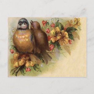 Robin Bird Gult Red Flower Vykort