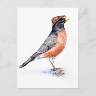 Robin Bird in Hat Vykort