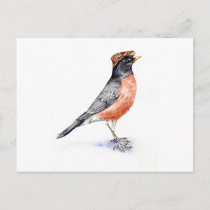 Robin Bird in Hat Vykort