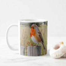 Robin Bird Mugg