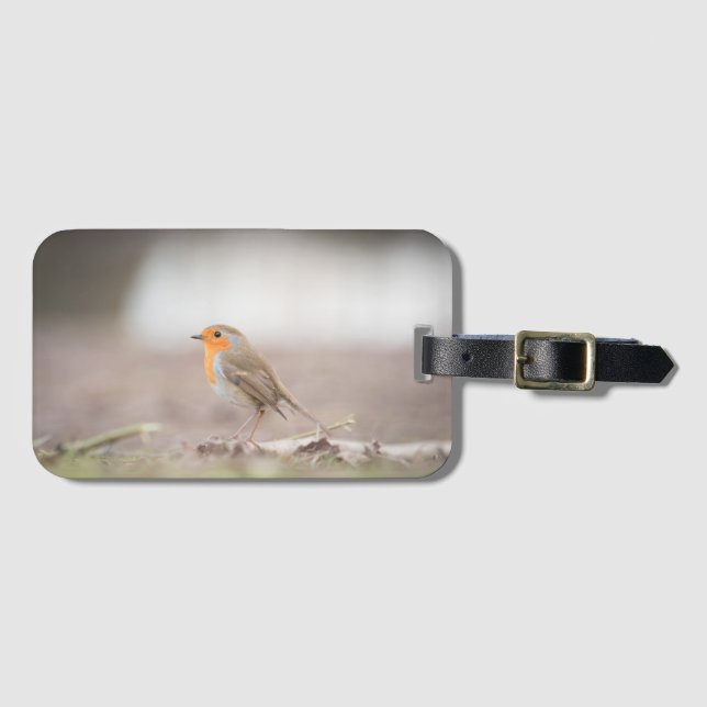 Robin Bird Nature Photo Bagagebricka (Framsida horisontal)