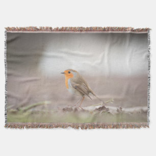 Robin Bird Nature Photo Filt