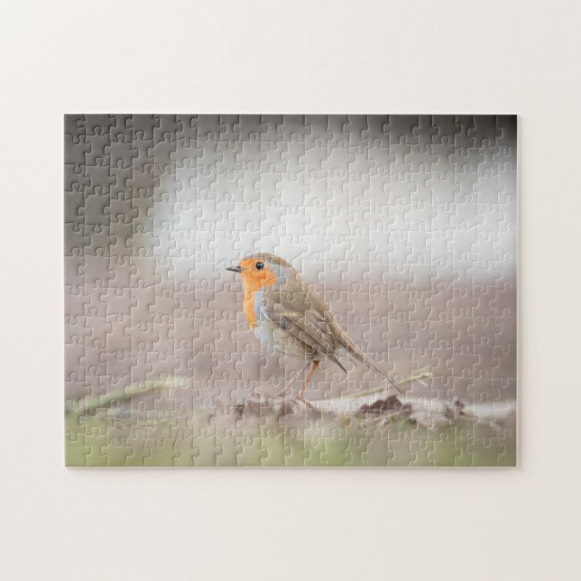 Robin Bird Nature Photo Pussel (Horisontell)