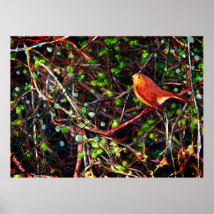 Robin bird ona gren i en hedge poster
