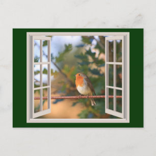 Robin Bird vid Window Helg Vykort