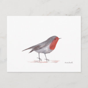 Robin bird vykort