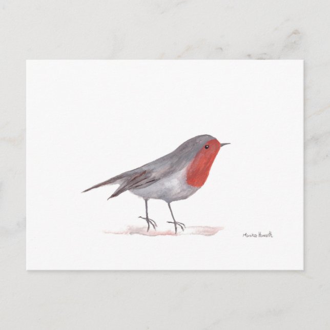 Robin bird vykort (Framsida)