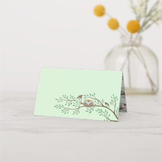 Robin Birds Nest Eggs Vår Baby Shower Placeringskort