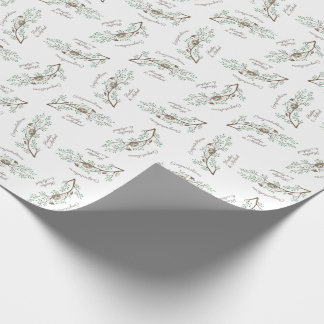 Robin Birds Nest Eggs Vår Baby Shower Presentpapper