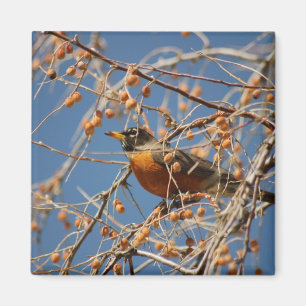 Robin Bland Berries Magnet