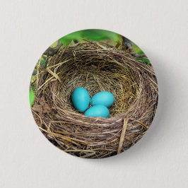 Robin Blue Eggs-knapp Knapp