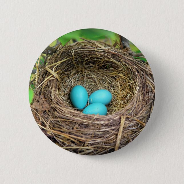 Robin Blue Eggs-knapp Knapp (Framsida)