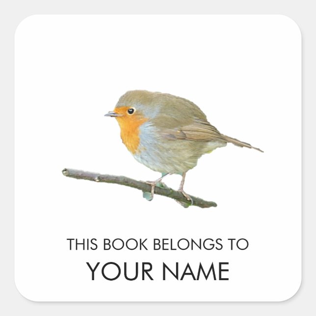 Robin Bok Sticker Fyrkantigt Klistermärke (Framsida)