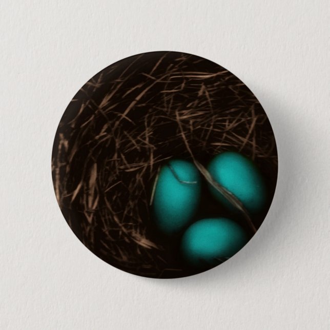 Robin bygga bo fotoet knapp (Framsida)