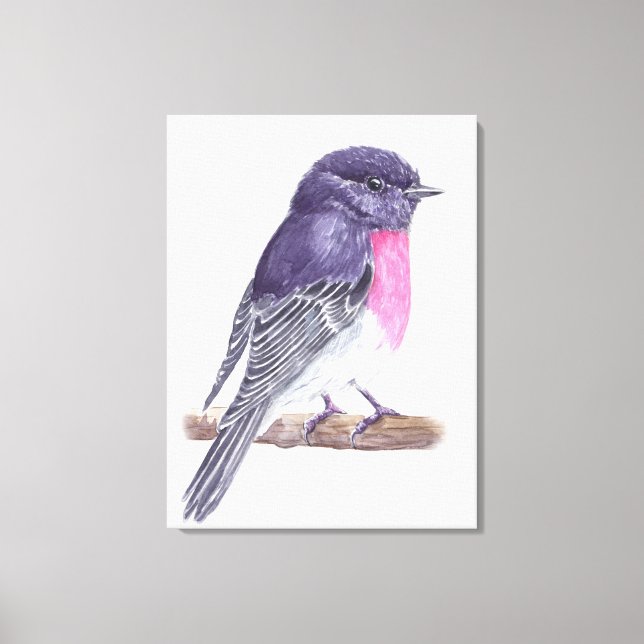 Robin Canvastryck (Framsida)