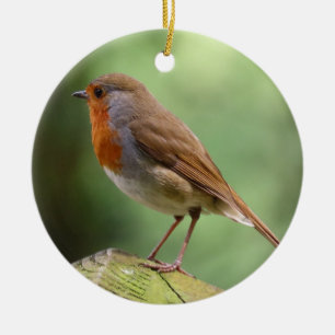 Robin Ceramic Dekoration