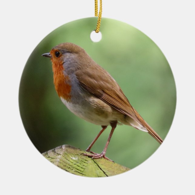 Robin Ceramic Dekoration (Framsidan)