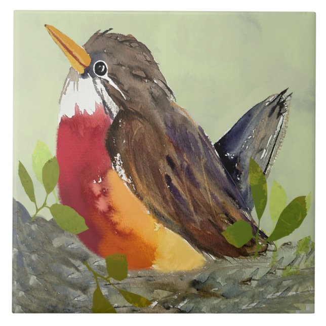 Robin Ceramic Kitchen Tile Kakelplatta (Framsidan)