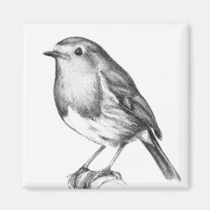 Robin christmas magnet
