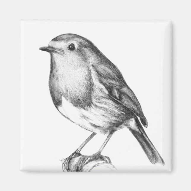 Robin christmas magnet (Framsidan)