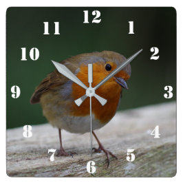 Robin Clock Fyrkantig Klocka