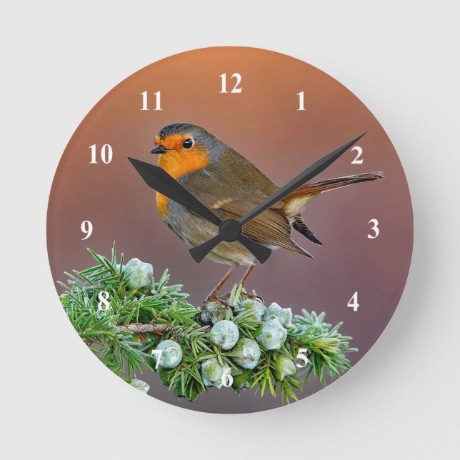 Robin Clock Rund Klocka (Framsida)