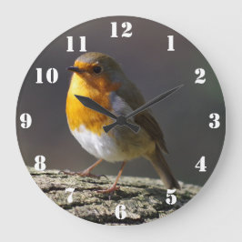 Robin Clock Stor Klocka