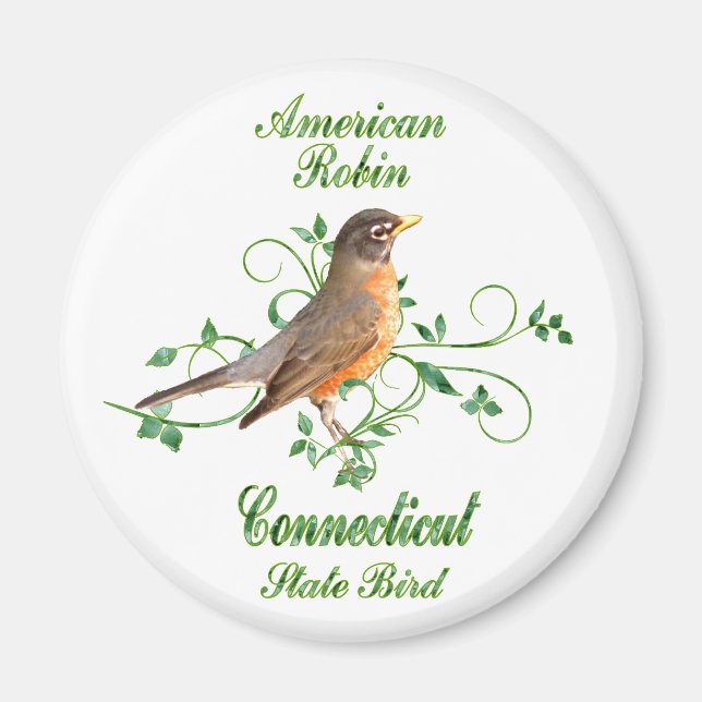 Robin Connecticut State Bird Magnet (Framsidan)