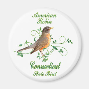Robin Connecticut statlig fågel Magnet