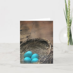 Robin Eggs Blank Note-kort Kort