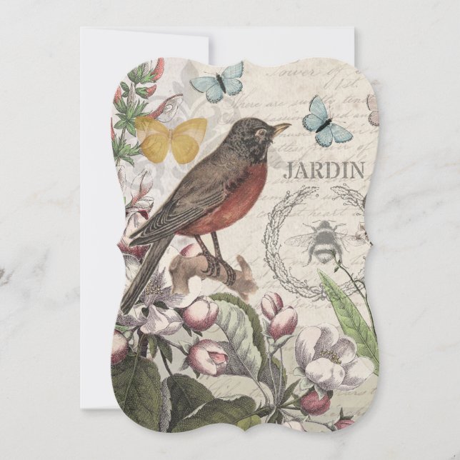 Robin Elegant Bird Butterfly Fransk Art (Framsida)