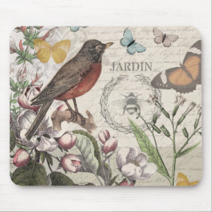Robin Elegant Bird Butterfly Fransk Art Musmatta