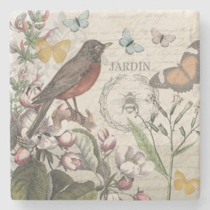 Robin Elegant Bird Butterfly Fransk Art Stenunderlägg
