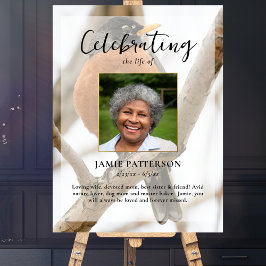 Robin Fågelskådare, Celebration of Life Foto Poster