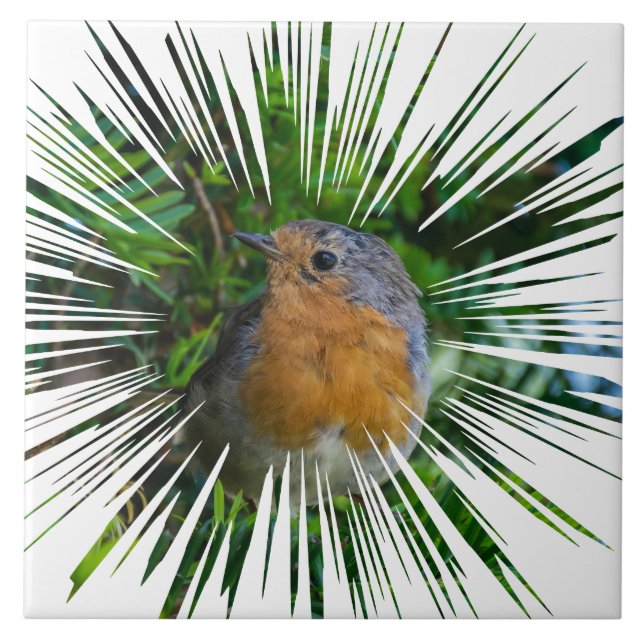 Robin-fågelvisare, keramiskt plattor kakelplatta (Framsidan)