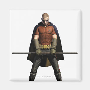 Robin Färg Magnet