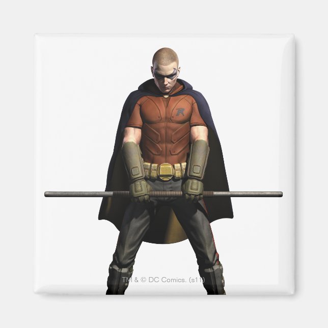 Robin Färg Magnet (Framsidan)