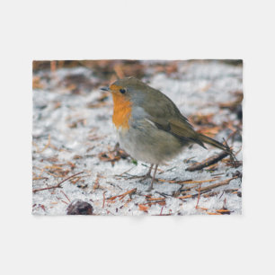 Robin filt