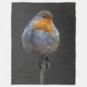 Robin filt