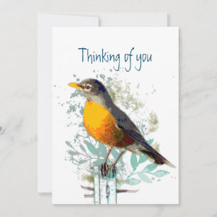 Robin Garden Bird Wildlife... Kort