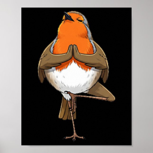 Robin gör yogaställning meditation rolig fågel  poster (Framsidan)